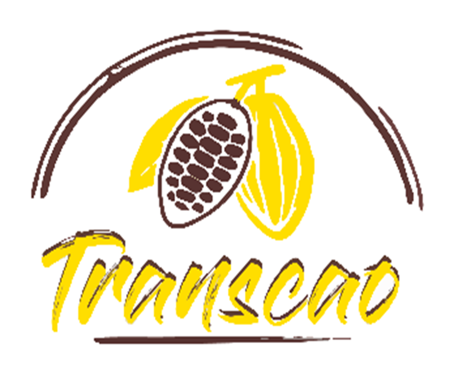 Transcao logo