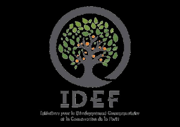 IDEF logo