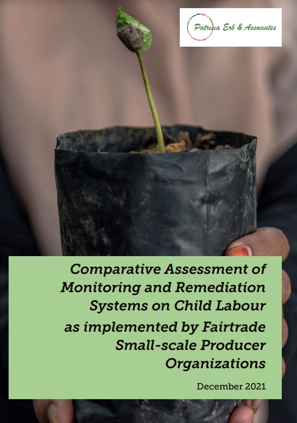 Report cover comparative assessment of child labour monitoring and remediation systems
