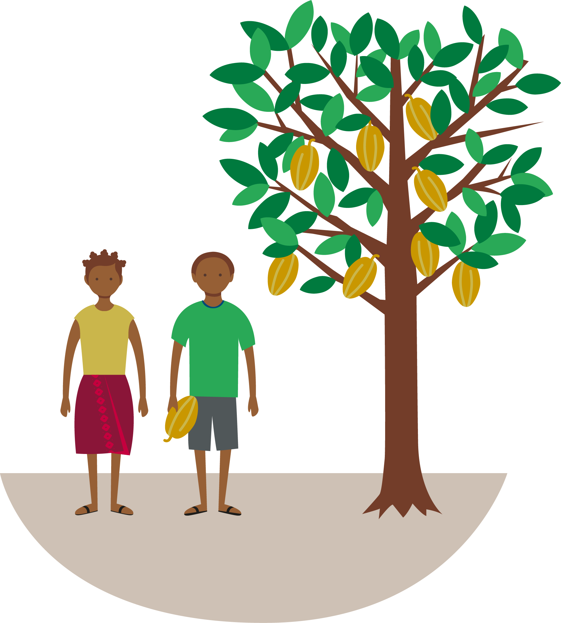 illustration: a girl and a boy next to a cocoa tree 