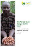 L’impact de l'évolution des revenus des ménages sur le travail des enfants : Analyse des données relatives aux petites exploitations agricoles