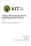 Analysis of the income gap of cocoa-producing households in Ghana