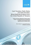 Cash transfers, public works and child activities: Mixed methods evidence from the United Republic of Tanzania