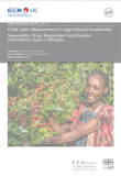 Child labor measurement in agricultural households: Seasonality, proxy respondent and gender information gaps in Ethiopia