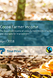 Cocoa Farmer Income: The household income of cocoa farmers in Côte d'Ivoire and strategies for improvement