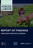Global Business of Forced Labour: Final Report