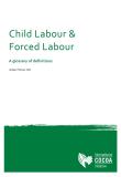 Child Labour and Forced Labour Glossary of definitions