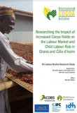 Recherche sur l’impact de l’augmentation des rendements du cacao sur le marché du travail et les risques liés au travail des enfants au Ghana et en Côte d’Ivoire