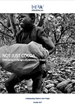 Not just cocoa: Child labour in the agricultural sector in Ghana