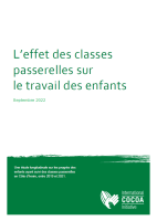 L'effet des classes passerelles