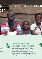 What are the impacts of cash transfers on cocoa households - infographic