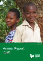 annual report 2020