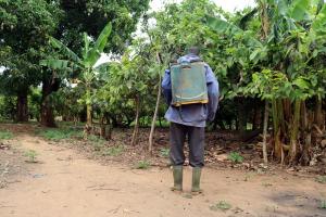 spraying pesticides