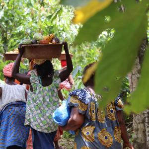 women carrying cocoa pods on their heads