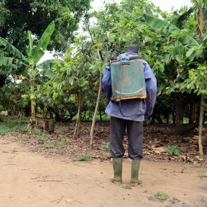 spraying pesticides