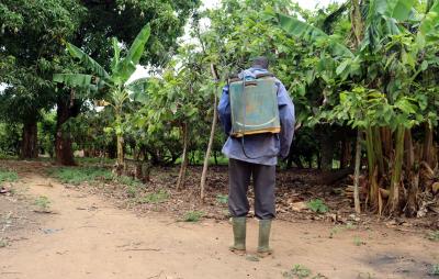man spraying pesticides
