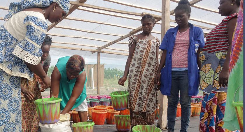 hydroponic farming