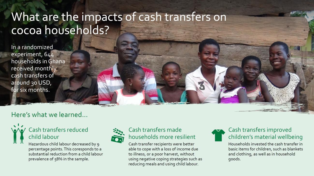 What are the impacts of cash transfers on cocoa households?