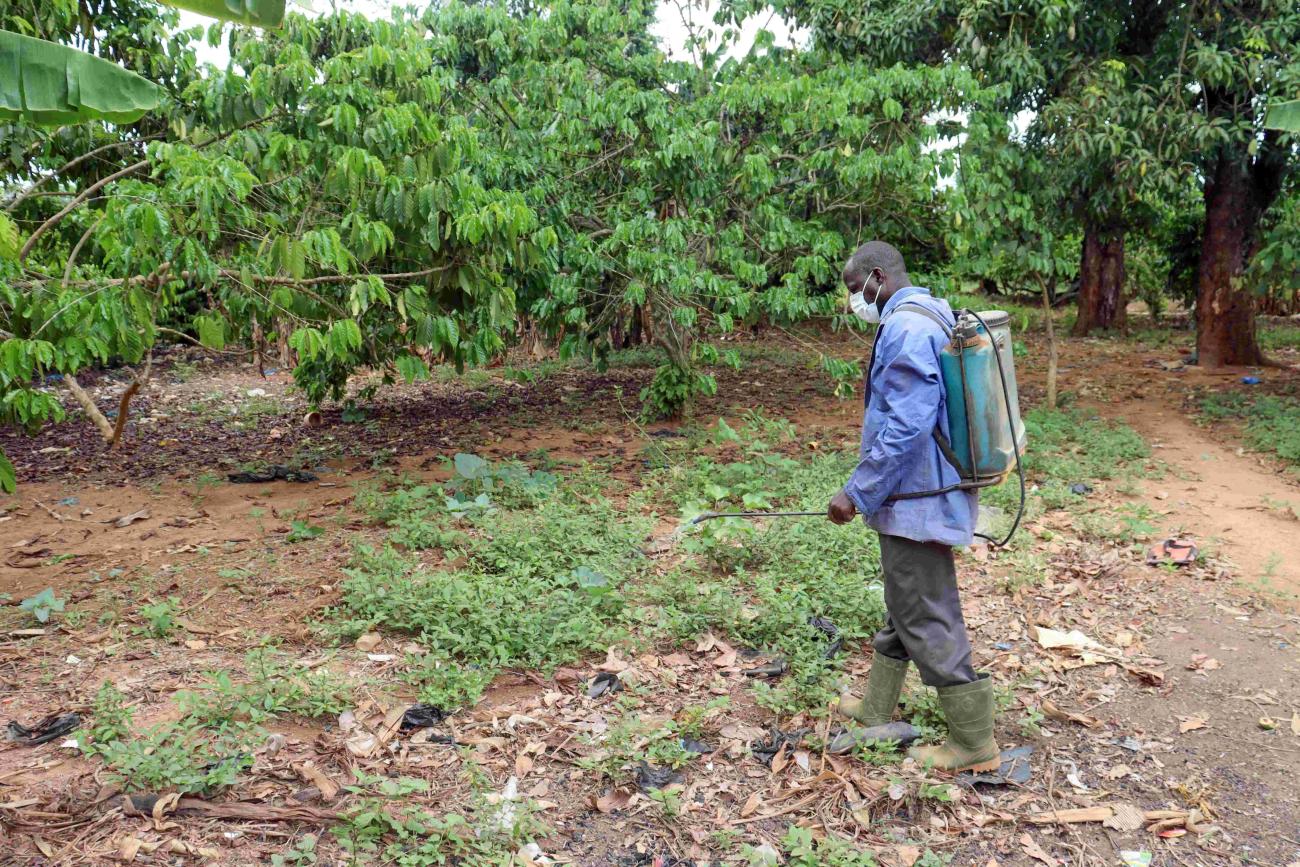 Pesticides spray