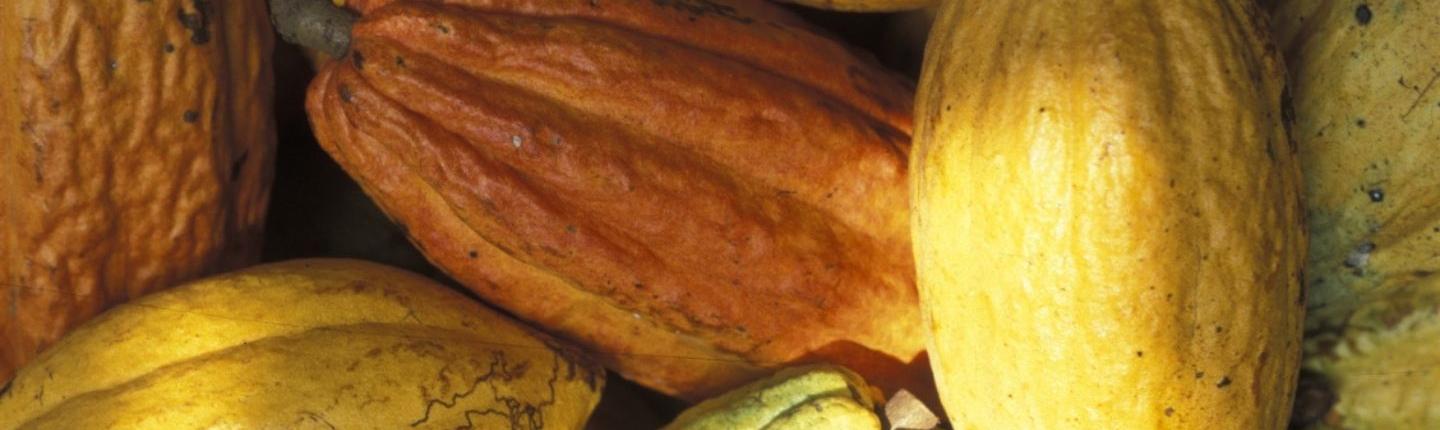 Pourquoi devenir membre